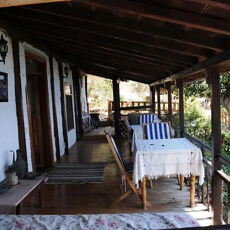 Homestay Kale